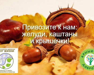 Вот и завершилась наша акция по сбору книг для проекта БУКЛЯ. Книги для сельских библиотек! И мы объявляем НОВУЮ АКЦИЮ!  pic 11