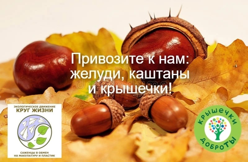 Вот и завершилась наша акция по сбору книг для проекта БУКЛЯ. Книги для сельских библиотек! И мы объявляем НОВУЮ АКЦИЮ!  pic 11